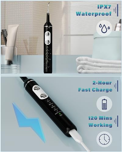Plaque Remover for Teeth, Dental Cleaning Kit Tartar Remover for Teeth with LED Light & 5 Modes, Rechargeable Dental Cleaner, 4 Replaceable Heads