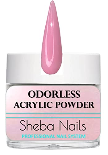 SHEBA NAILS State Board Sealed Odorless Acrylic Nail Mini Kit