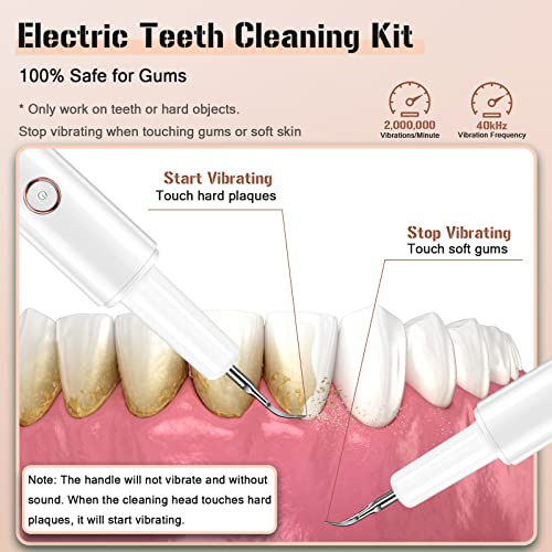 Plaque Remover for Teeth, Electric Tooth Cleaner Tartar Remover for Teeth with LED Light,4 Modes Rechargeable Teeth Cleaning Kit with Dental Tools, 2 Replaceable Heads (White A)