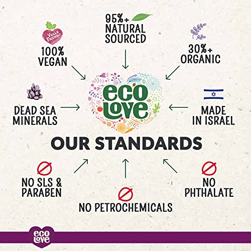ecoLove - Natural Conditioner for Dry Damaged Hair and Color Treated Hair - With Natural Lavender Extract - No SLS or Parabens - Vegan and Cruelty-Free, 17.6 oz.