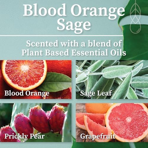 Hemlock Park Blood Orange Sage Coconut Milk Bath Soak | Organic Coconut Milk, Botanicals, Dead Sea, Epsom, and Himalayan Pink Mineral Salts | 9.5 oz Jar