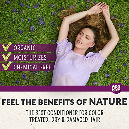 ecoLove - Natural Conditioner for Dry Damaged Hair and Color Treated Hair - With Natural Lavender Extract - No SLS or Parabens - Vegan and Cruelty-Free, 17.6 oz.