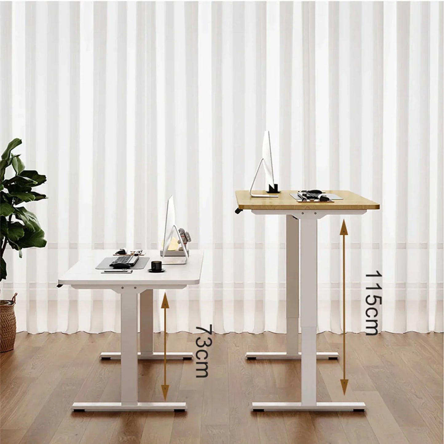 Electric Height Adjustable Sports Desk